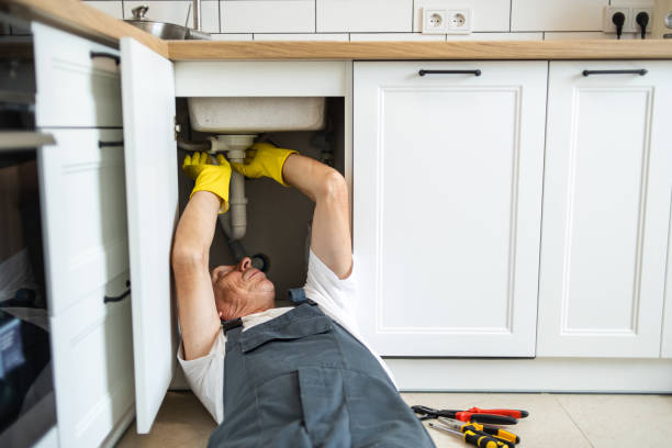 Best Leak Detection Services  in Thomasboro, IL